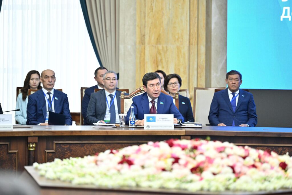 Мәжіліс төрағасы ҰҚШҰ парламентшілеріне синтетикалық есірткілерге қарсы іс-қимылды күшейтуді ұсынды