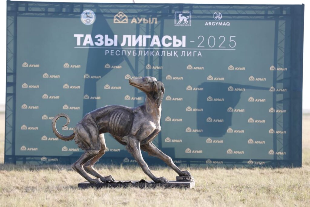 «Тазы лигасы - 2025»: Жүйрік тазылар жарысы өтті
