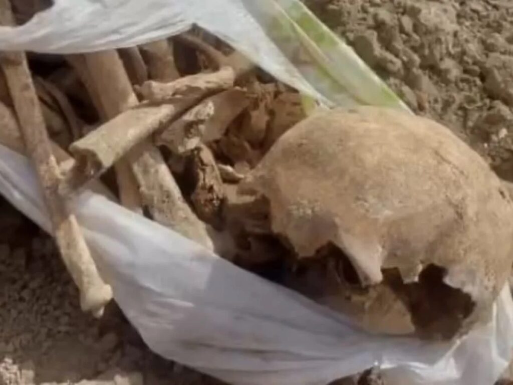 В Шымкенте снова нашли человеческие останки: почему такие находки участились и что это значит?