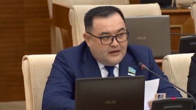 Депутат предложил нанимать профессиональную охрану в школы и детсады Казахстана