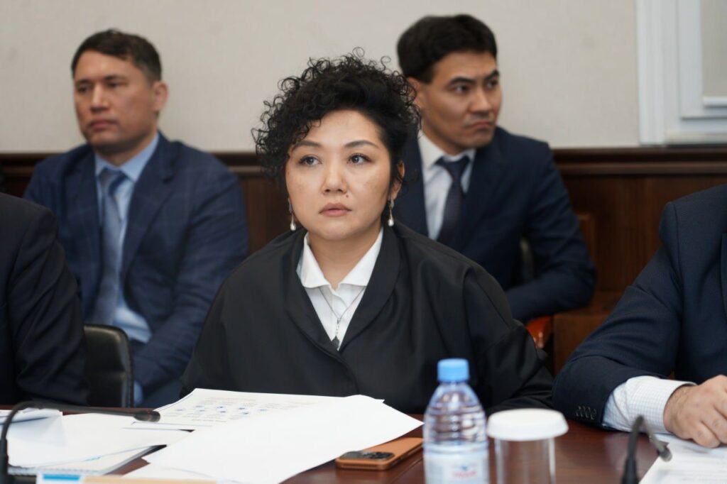 Жаңа Конституция цифрлық дәуірде адам құқықтарын қорғауды күшейтеді – «Әділ сөз» қорының президенті