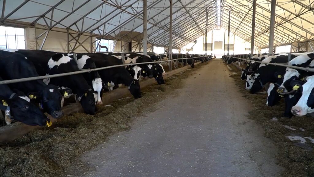 Фермерам в Казахстане начали выдавать льготные кредиты под 6%