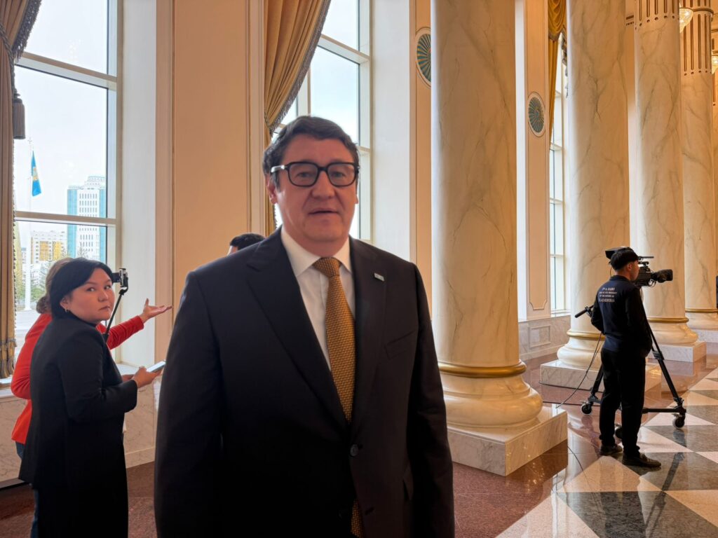 Вторую АЭС могут назвать «Мойынкум»: в Агентстве объяснили выбор без нового конкурса