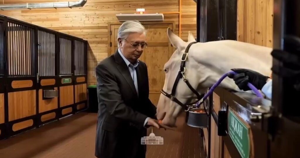 Қасым-Жомарт Тоқаев әлеуметтік желідегі парақшасында сәйгүліктерін таныстырды